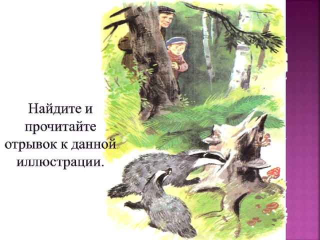 Главная мысль произведения барсучий нос. Паустовский барсучий нос иллюстрации. Барсучий хвост Паустовский.