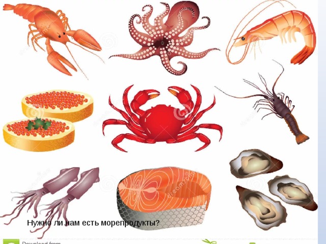 Нужно ли нам есть морепродукты? 