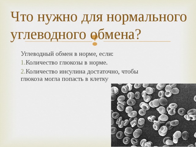 Что нужно для нормального углеводного обмена? Углеводный обмен в норме, если: