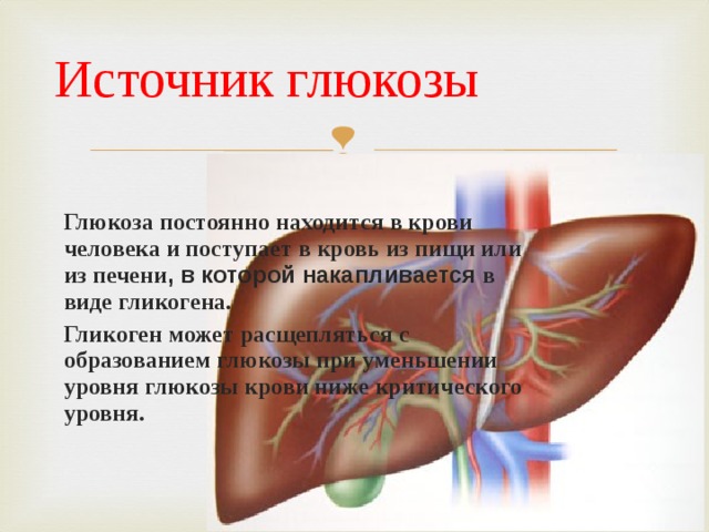 Источник глюкозы Глюкоза постоянно находится в крови человека и поступает в кровь из пищи или из печени , в которой накапливается в виде гликогена. Гликоген может расщепляться с образованием глюкозы при уменьшении уровня глюкозы крови ниже критического уровня.