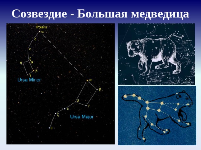 Рисунок созвездия малой и большой медведицы