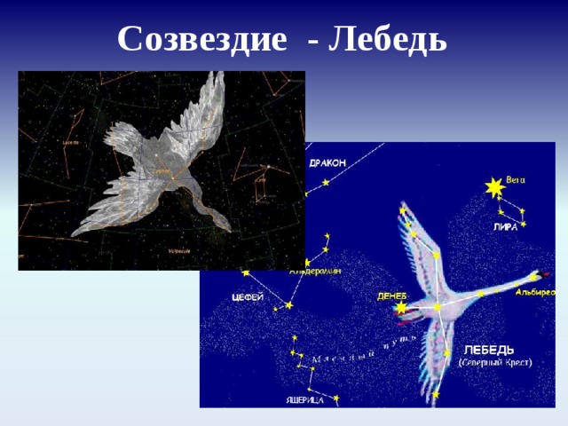 Созвездие лебедь схема для 2 схема