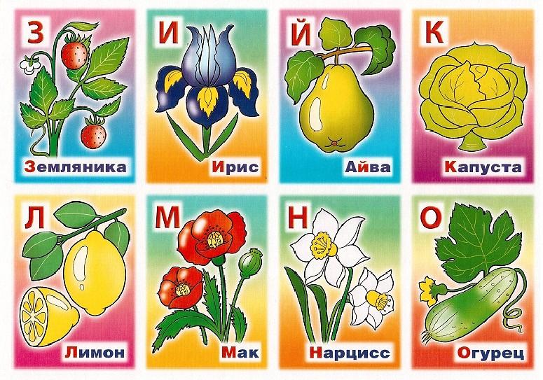 К к 8 букв растение. Азбука растений для детей. Растения по алфавиту. Карточки с изображением цветов. Названия цветов для дошкольников.