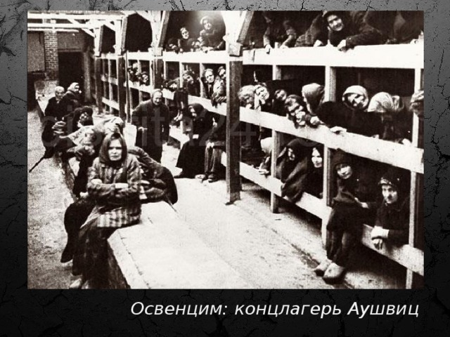 12. Во второй половине января 1945г. нацисты эвакуировали из Аушвица 58 000 заключенных, более 700 узников уничтожили буквально накануне освобождения. Освенцим: концлагерь Аушвиц  