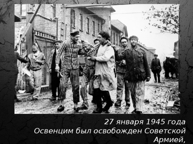 13. 27 января 1945 года Освенцим был освобожден Советской Армией, тем самым были предотвращены дальнейшие массовые казни. 27 января 1945 года Освенцим был освобожден Советской Армией, тем самым были предотвращены дальнейшие массовые казни  