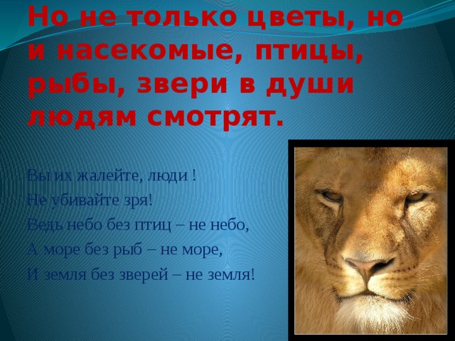 Но не только цветы, но и насекомые, птицы, рыбы, звери в души людям смотрят. Вы их жалейте, люди ! Не убивайте зря! Ведь небо без птиц – не небо, А море без рыб – не море, И земля без зверей – не земля! 