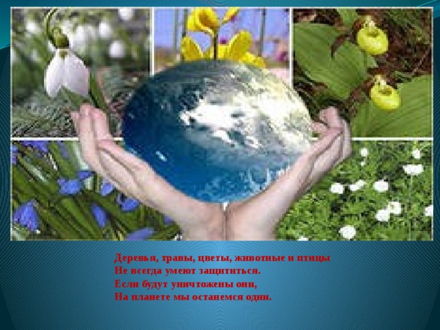 Деревья, травы, цветы, животные и птицы Не всегда умеют защититься. Если будут уничтожены они, На планете мы останемся одни. 