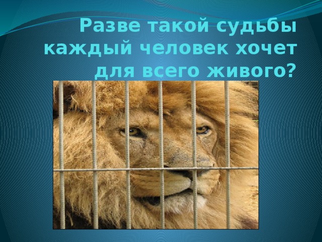 Разве такой судьбы каждый человек хочет для всего живого? 