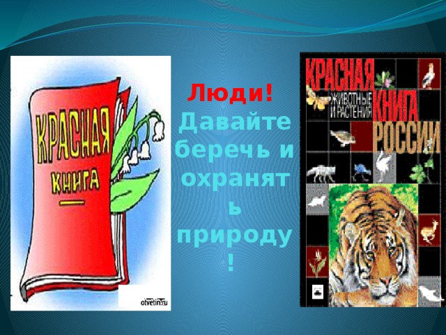 Люди!  Давайте беречь и охранять природу! 