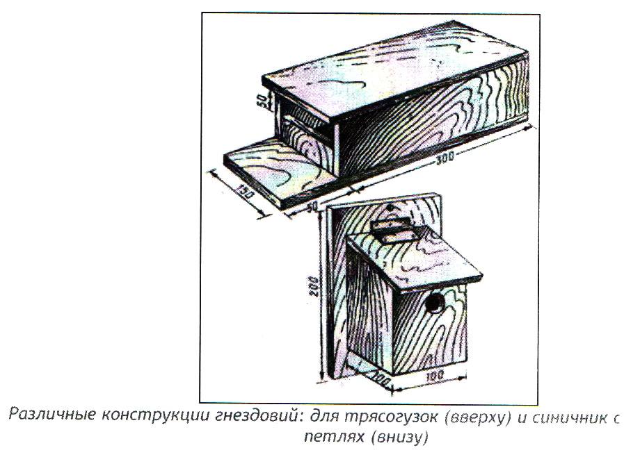 Скворечник для трясогузки чертеж