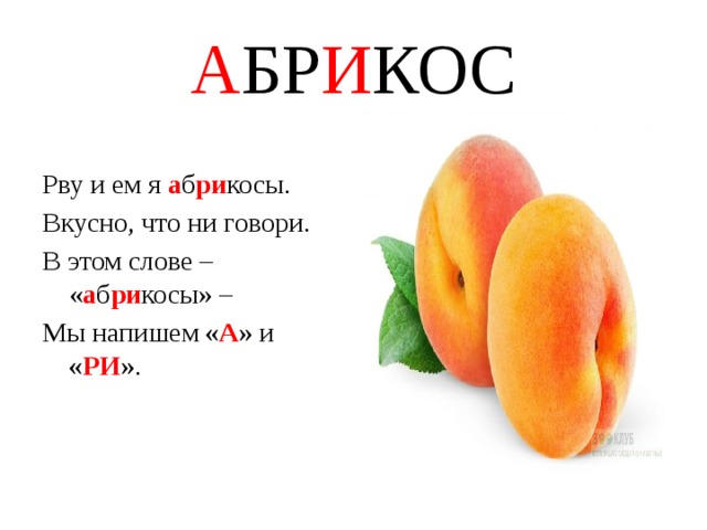 Схема слова абрикос