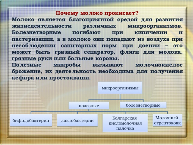 Причины молочный. Почему молоко является хорошей средой для развития микроорганизмов. Благоприятная среда для развития микробов. Благоприятная среда для развития микробов является. Среда наиболее благоприятна для развития бактерий.