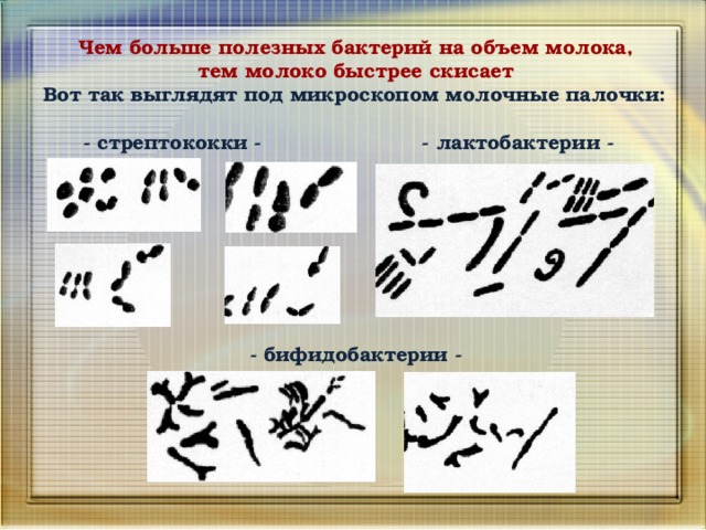 Проект почему скисает молоко 4 класс