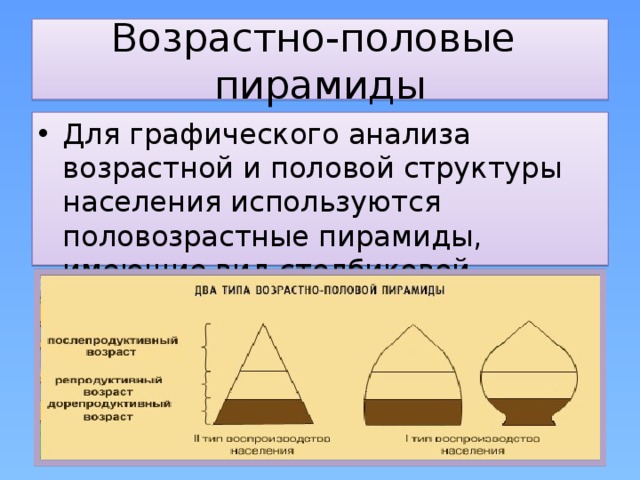 Возрастно-половые пирамиды Для графического анализа возрастной и половой структуры населения используются половозрастные пирамиды, имеющие вид столбиковой диаграммы 