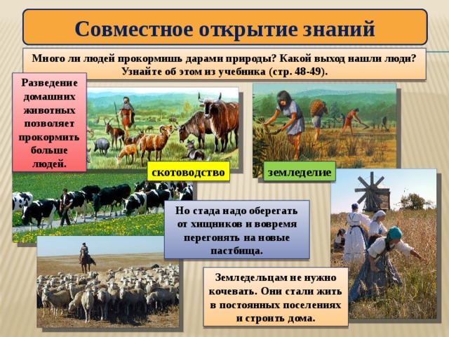 Проанализируйте рисунок на с 95 учебника какая группа животных представлена наибольшим числом видов