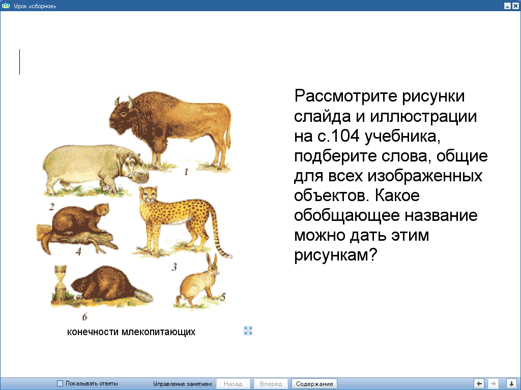 Применение КМ на уроках биологии