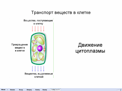 Функция транспорт веществ клетки. Транспорт веществ по клетке осуществляет.