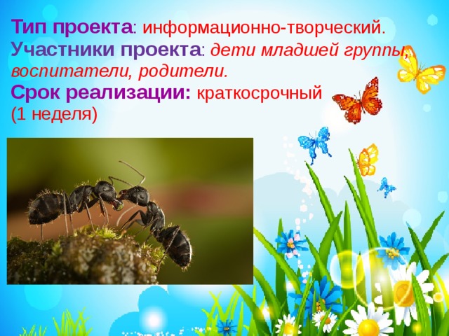 Тип проекта : информационно-творческий.  Участники проекта :  дети младшей  группы, воспитатели, родители.  Срок реализации:  краткосрочный  (1 неделя) 
