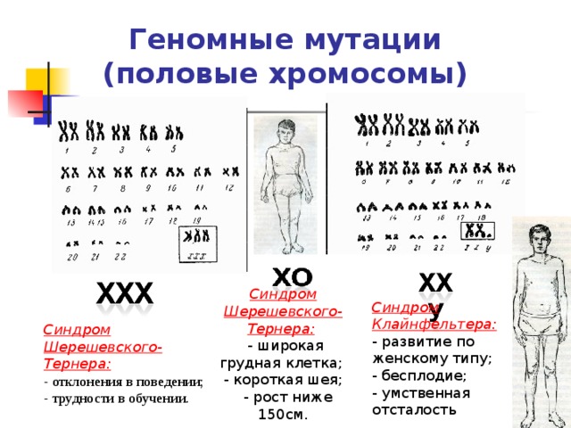 Геномные мутации