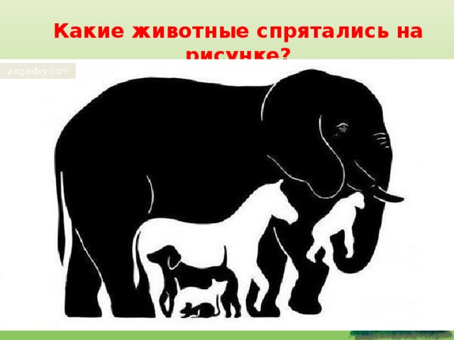 Какие животные спрятались на рисунке? 