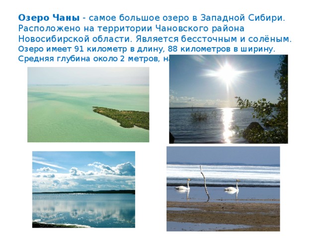 Озера имеющие соленую воду. Западно-Сибирская равнина озеро Чаны. Соленое озеро Чаны. Западная Сибирь озеро Чаны. Чаны самое большое озеро Западной Сибири.