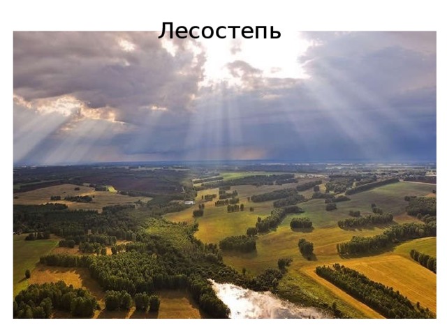 Лесостепь