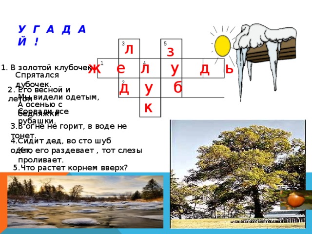 У Г А Д А Й ! л з 3 1 5 2 4 ж е л у д ь 1. В золотой клубочек Спрятался дубочек. д у б 2. Его весной и летом Мы видели одетым, к А осенью с бедняжки Сорвали все рубашки. 3.В огне не горит, в воде не тонет. 4.Сидит дед, во сто шуб одет, Кто его раздевает , тот слезы проливает. 5.Что растет корнем вверх? 