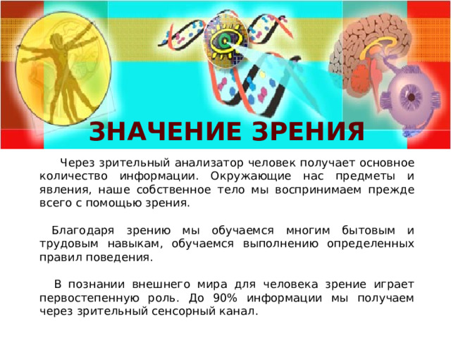 Значение зрения  Через зрительный анализатор человек получает основное количество информации. Окружающие нас предметы и явления, наше собственное тело мы воспринимаем прежде всего с помощью зрения.  Благодаря зрению мы обучаемся многим бытовым и трудовым навыкам, обучаемся выполнению определенных правил поведения.  В познании внешнего мира для человека зрение играет первостепенную роль. До 90% информации мы получаем через зрительный сенсорный канал. 