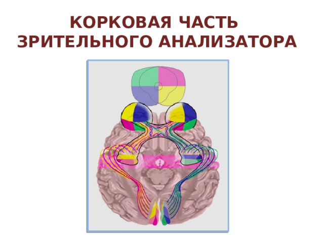 Изменение просвета зрачка 