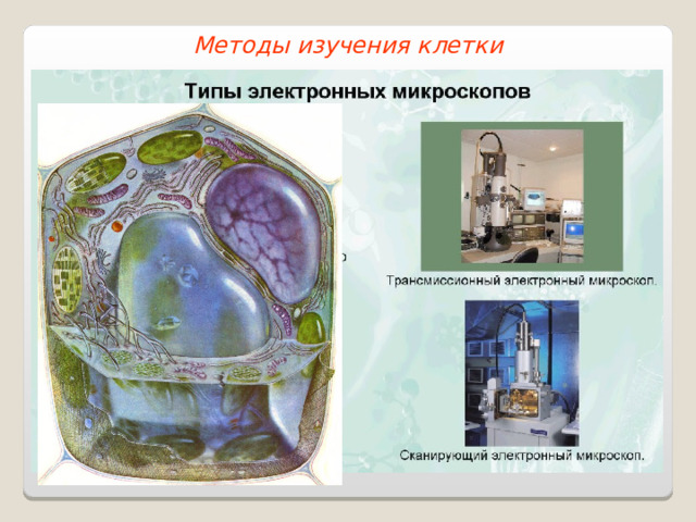 Методы изучения клетки 