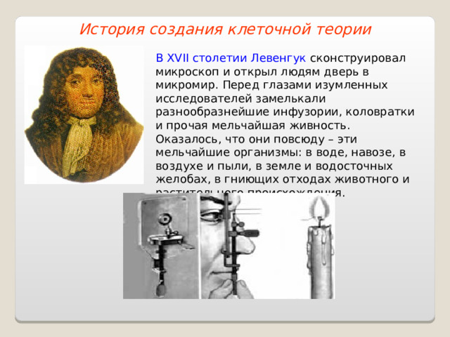 История создания клеточной теории В XVII столетии Левенгук сконструировал микроскоп и открыл людям дверь в микромир. Перед глазами изумленных исследователей замелькали разнообразнейшие инфузории, коловратки и прочая мельчайшая живность. Оказалось, что они повсюду – эти мельчайшие организмы: в воде, навозе, в воздухе и пыли, в земле и водосточных желобах, в гниющих отходах животного и растительного происхождения.  