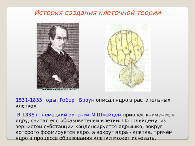 История создания клеточной теории 1831-1833 годы. Роберт Броун описал ядро в растительных клетках.  В 1838 г. немецкий ботаник М.Шлейден привлек внимание к ядру, считал его образователем клетки. По Шлейдену, из зернистой субстанции конденсируется ядрышко, вокруг которого формируется ядро, а вокруг ядра - клетка, причём ядро в процессе образования клетки может исчезать. 