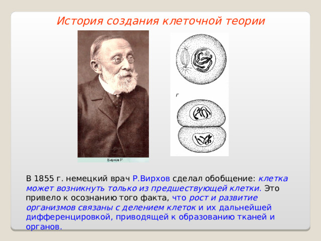 История создания клеточной теории В 1855 г. немецкий врач Р.Вирхов сделал обобщение: клетка может возникнуть только из предшествующей клетки . Это привело к осознанию того факта, что рост и развитие организмов связаны с делением клеток и их дальнейшей дифференцировкой, приводящей к образованию тканей и органов. 