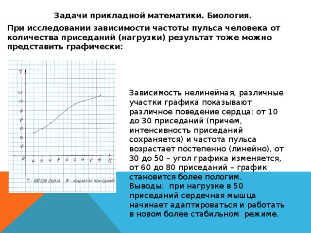 На графике изображено зависимости частоты пульса гимнаста