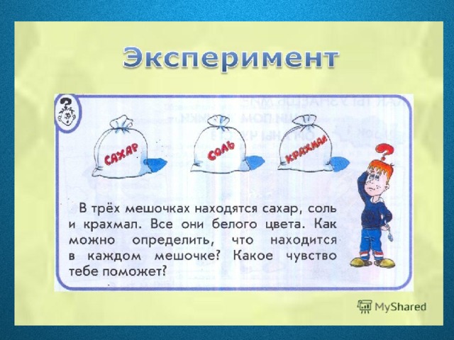 Задачи чувств. Задания по теме органы чувств. Органы чувств начальная школа. Задания на урок органы чувств. Органы чувств 3 класс задания.