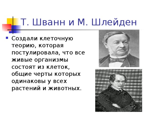 Т. Шванн и М. Шлейден Создали клеточную теорию, которая постулировала, что все живые организмы состоят из клеток, общие черты которых одинаковы у всех растений и животных. 