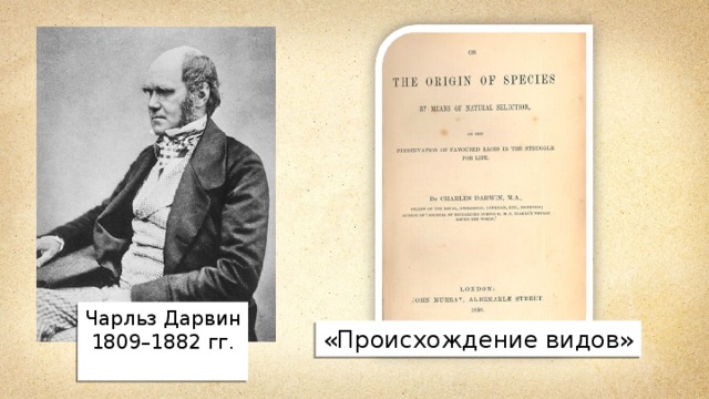 Чарльз Дарвин  1809–1882 гг. «Происхождение видов» 