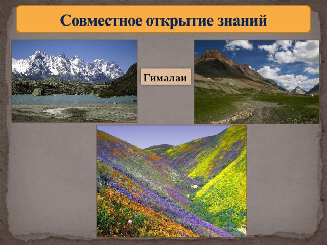 Гималаи