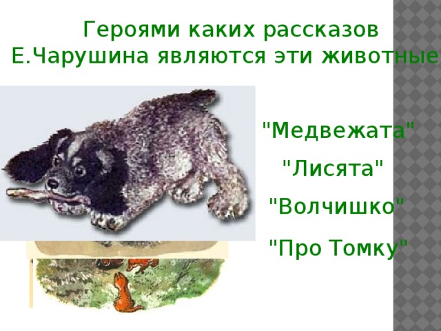 Героями каких рассказов Е.Чарушина являются эти животные? 