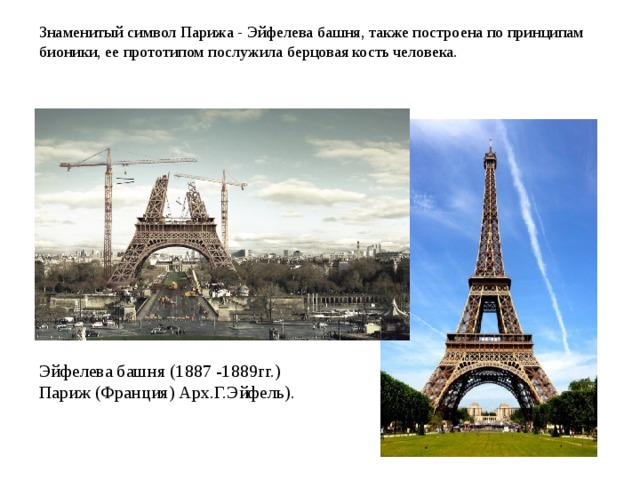 Знаменитый символ Парижа - Эйфелева башня, также построена по принципам бионики, ее прототипом послужила берцовая кость человека. Эйфелева башня (1887 -1889гг.) Париж (Франция) Арх.Г.Эйфель).