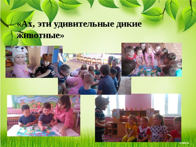 «Ах, эти удивительные дикие животные» 