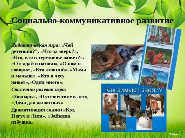 Социально-коммуникативное развитие Дидактическая игра: «Чей детеныш?