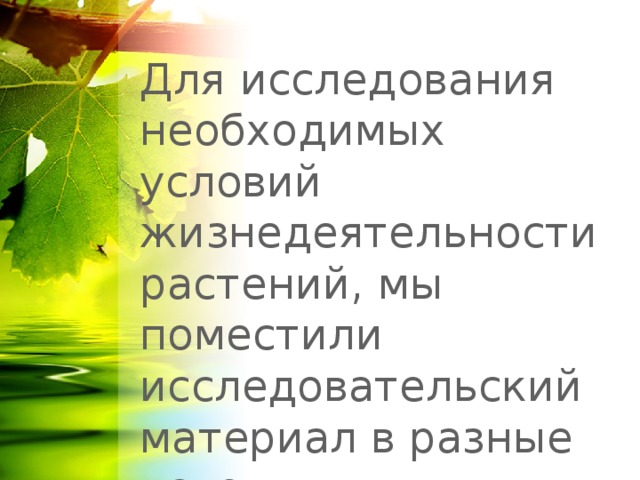 Условия необходимые для жизни растений проект