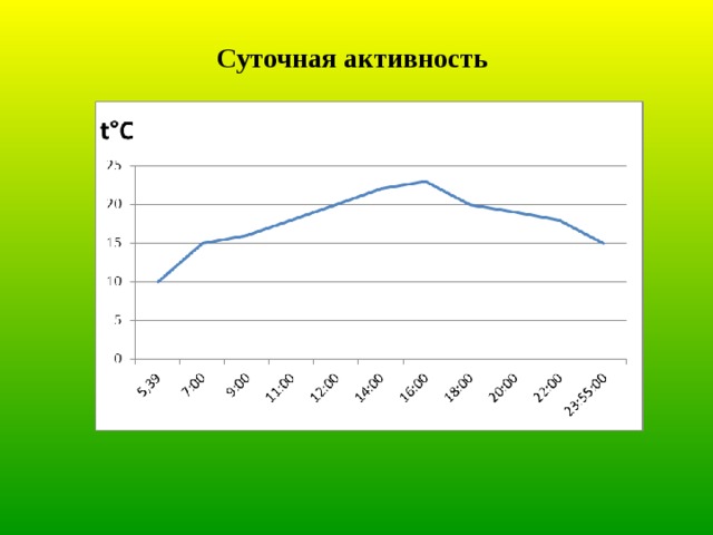 Суточная активность. Суточная активность насекомых. Ежедневная активность. Суточная активность муравьев. Суточная активность комаров.