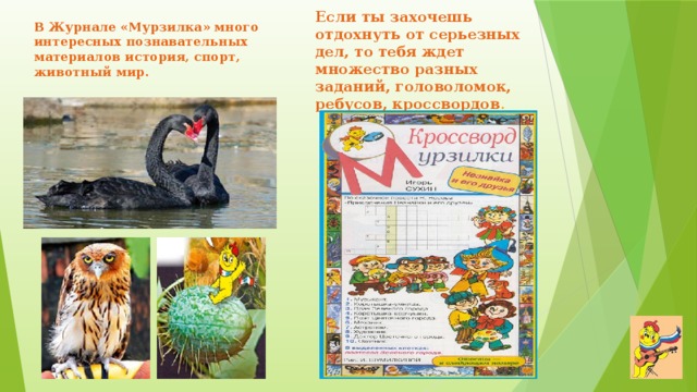 В Журнале «Мурзилка» много интересных познавательных материалов история, спорт, животный мир. Если ты захочешь отдохнуть от серьезных дел, то тебя ждет множество разных заданий, головоломок, ребусов, кроссвордов . 