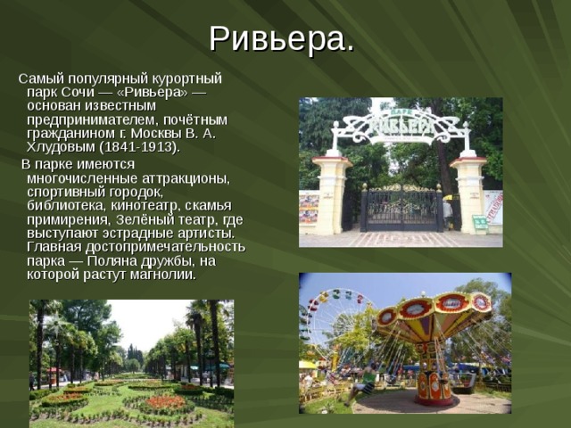 Проект 7 класс создание национальных парк сочи