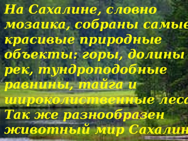 На Сахалине, словно мозаика, собраны самые красивые природные объекты: горы, долины рек, тундроподобные равнины, тайга и широколиственные леса. Так же разнообразен животный мир Сахалина. 