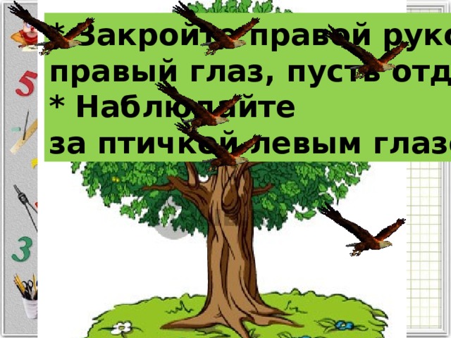 * Закройте правой рукой правый глаз, пусть отдохнет. * Наблюдайте за птичкой левым глазом. 