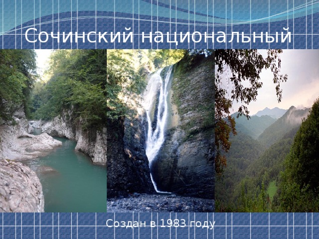 Сочинский национальный парк Создан в 1983 году 