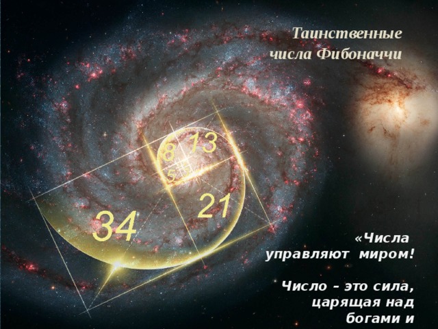 Таинственные числа Фибоначчи «Числа управляют миром! Число – это сила, царящая над богами и смертными!» 